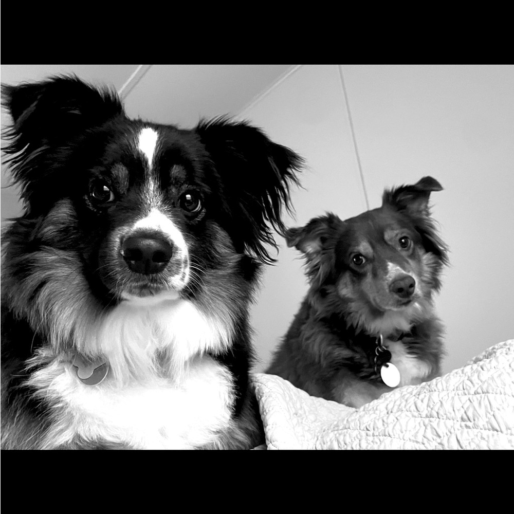 Meet your Posher, Nora